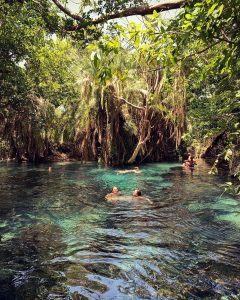 Kikuletwa Hotspring (Chemka Hotsprings)